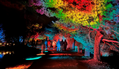 Ce spectacle "magique" en pleine nature est à découvrir à 40 minutes de Lyon