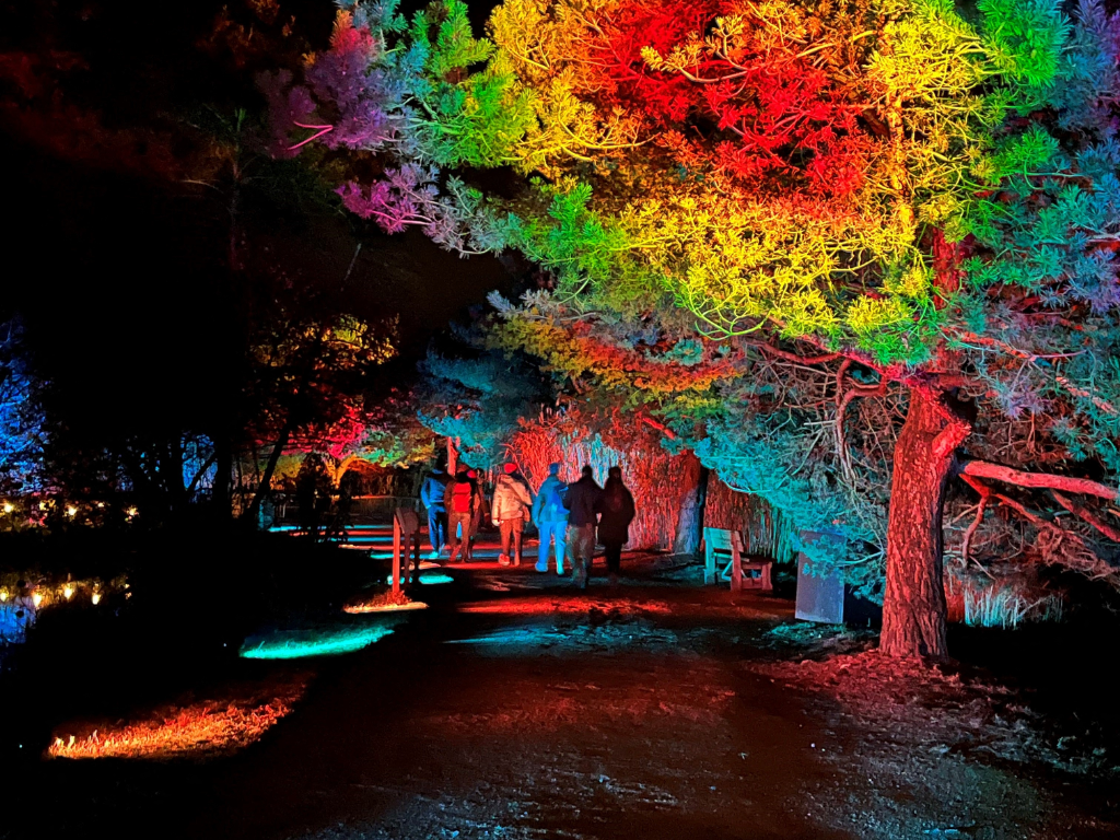 Ce spectacle "magique" en pleine nature est à découvrir à 40 minutes de Lyon