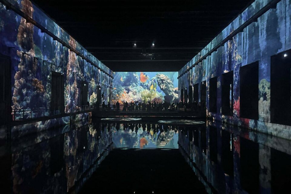 L'exposition Océan aux Bassins des lumières à Bordeaux.