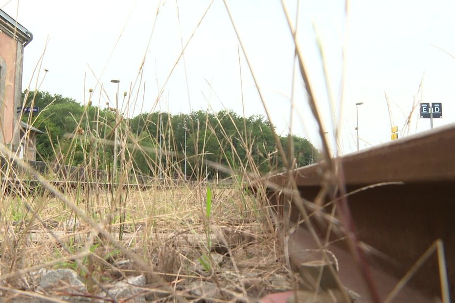 "Vendredi soir, on a compris que le département de la Creuse venait d'être rayé de la carte"