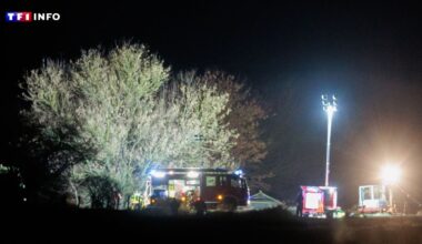 Allemagne : un incident sur un oléoduc entraîne un "important déversement de pétrole"