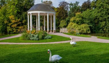 Strasbourg. Bassin vidé, nouveaux jeux, bancs d’allaitement... ce qui attend le parc de l’Orangerie d'ici 2035