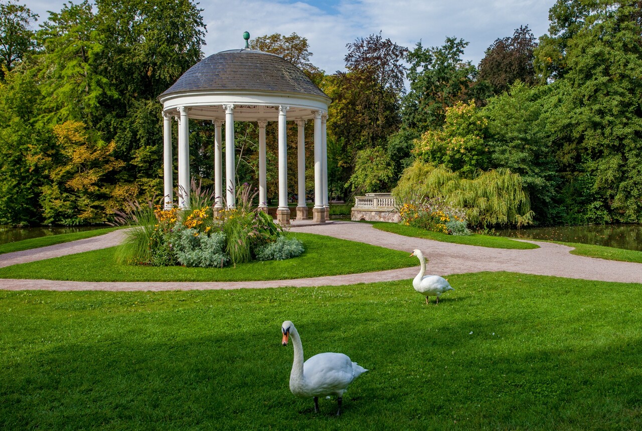 Strasbourg. Bassin vidé, nouveaux jeux, bancs d’allaitement... ce qui attend le parc de l’Orangerie d'ici 2035