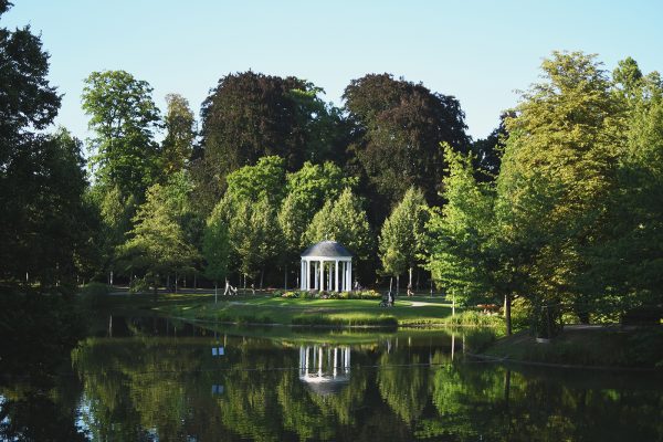 Parc Orangerie verdure végétal plantes nature (32)