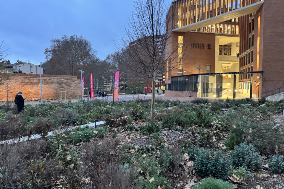 De la végétation accueille désormais les riverains devant TSE. 