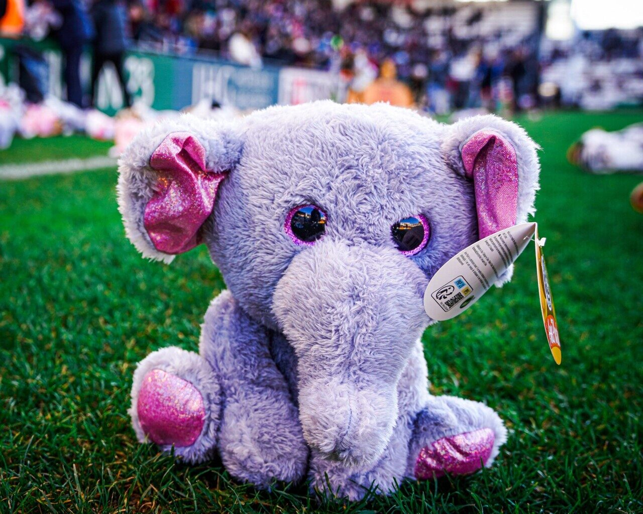 Solidarité. Apportez votre plaid et votre peluche dimanche au stade Mayol