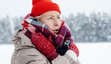 pourquoi la France connaît un pic de froid