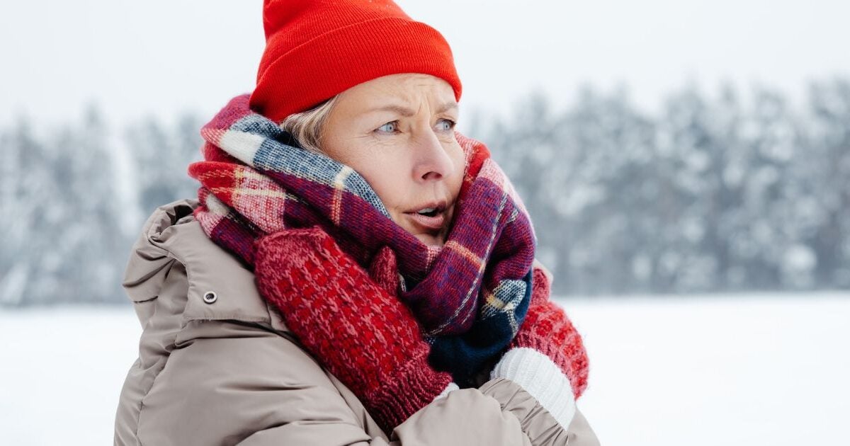 pourquoi la France connaît un pic de froid