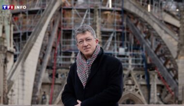Après la restauration de Notre-Dame, Philippe Jost au chevet du Louvre