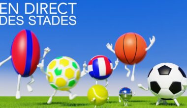 Omnisports. Les résultats des équipes de Saône-et-Loire en direct des stades ce dimanche 30 novembre