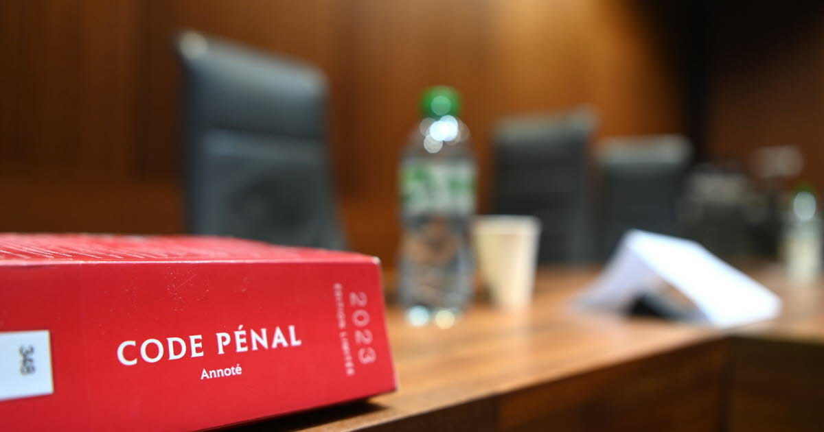 Saint-Étienne. Un quadragénaire condamné pour avoir dérobé près de 40 000 euros à la mère de son amie