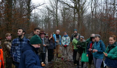 Photos. Bicentenaire de l’école forestière de Nancy : 600 arbres plantés