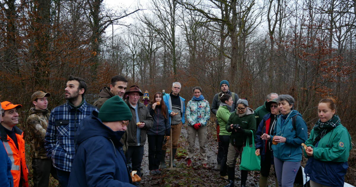 Photos. Bicentenaire de l’école forestière de Nancy : 600 arbres plantés