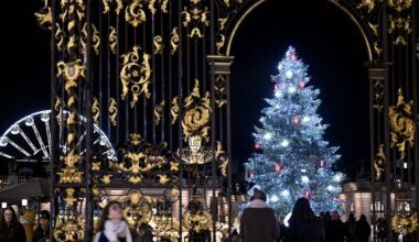 Infographie. Qui a le plus haut des des sapins de Noël du Grand Est ?