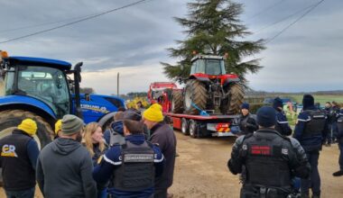 des heurts pour empêcher l'abattage d'un troupeau, deux interpellés