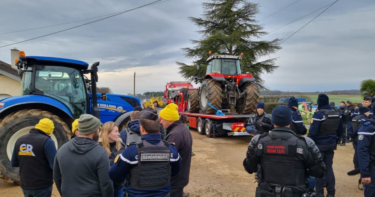 des heurts pour empêcher l'abattage d'un troupeau, deux interpellés