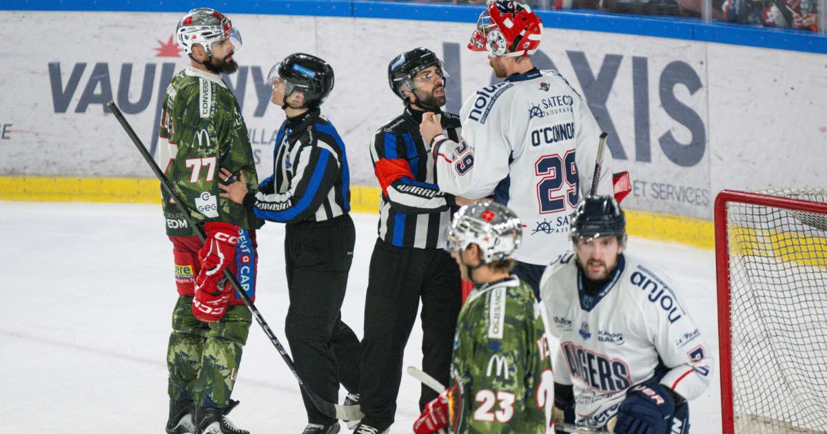 Hockey sur glace - Ligue Magnus. Deux Grenoblois épinglés, O’Connor blanchi... Les sanctions après Brûleurs de loups