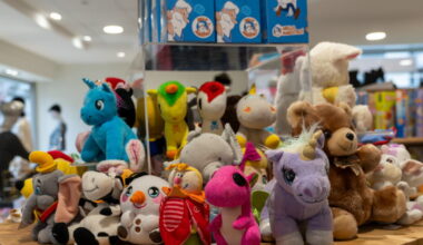 Strasbourg. Avec ses jouets recyclés, Carijou fait du bien à la planète autant qu'au porte-monnaie