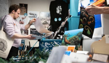 Strasbourg. C'est Jurassic market  ! A Dinoël, les créateurs célèbrent Noël en compagnie... de dinosaures