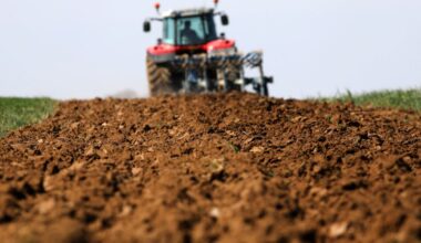 Agriculture. La France, plus grande ferme d’Europe, face au « défi colossal » de la souveraineté alimentaire