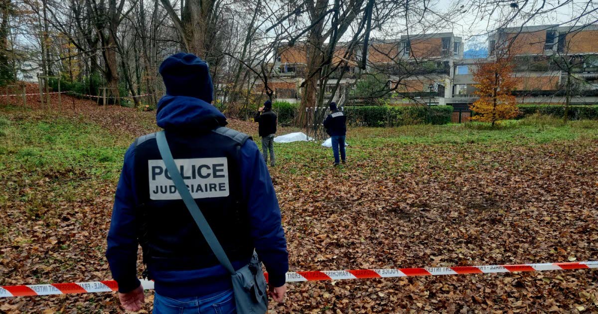 Isère. Un corps sans vie retrouvé au beau milieu d'un parc à Grenoble