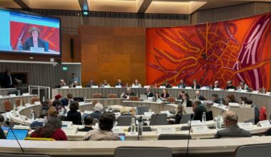 En direct Conseil municipal de Strasbourg. Second tour de parole sur le budget 2026 pendant une heure, 24 élus s'expriment