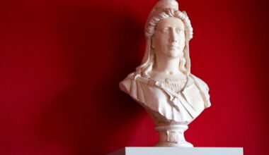 Strasbourg. Coup de couteau à la nuque d’un livreur : une femme condamnée