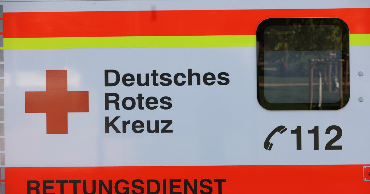 Allemagne. Collision entre une voiture et un camion-citerne à Breisach am Rhein : deux morts