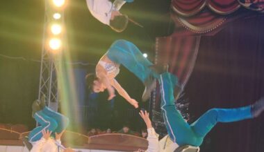 Lingolsheim. Une myriade d’artistes internationaux sous le chapiteau du cirque de Noël