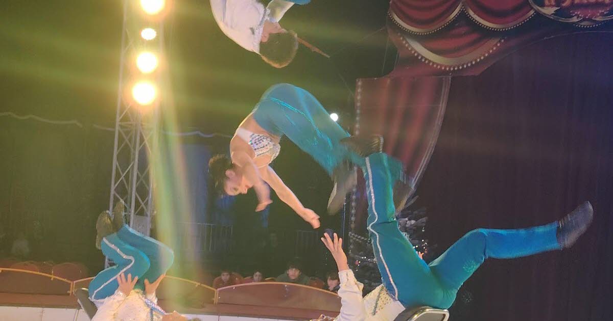 Lingolsheim. Une myriade d’artistes internationaux sous le chapiteau du cirque de Noël