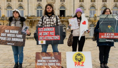 Nancy. Deux manifs pour la défense des animaux