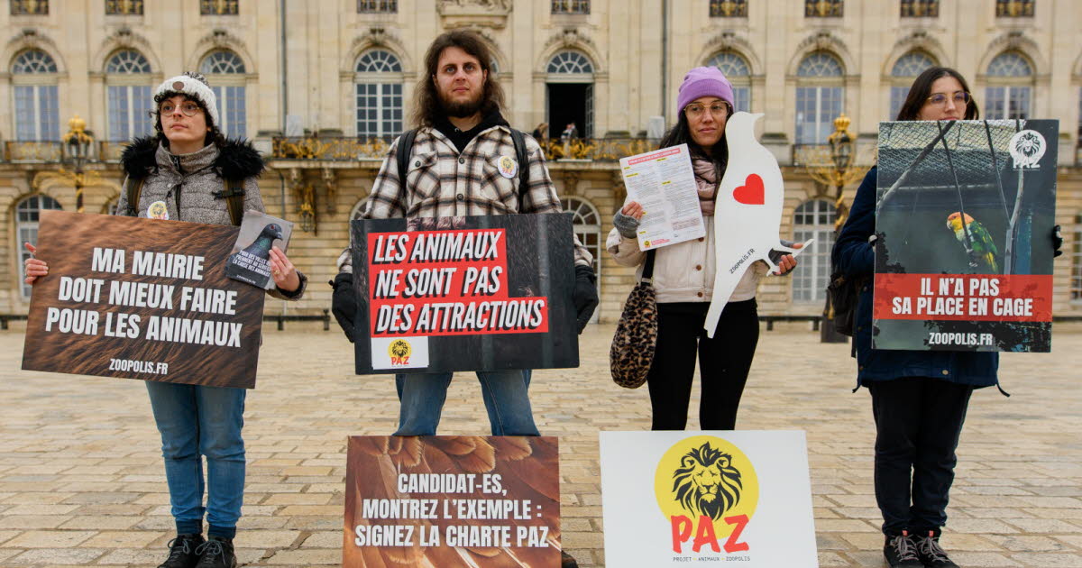 Nancy. Deux manifs pour la défense des animaux