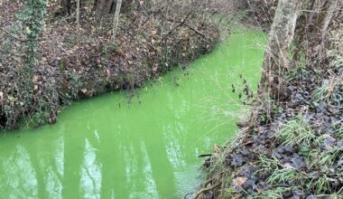 Meurthe-et-Moselle. Près de Nancy, le mystère du ruisseau vert en partie élucidé