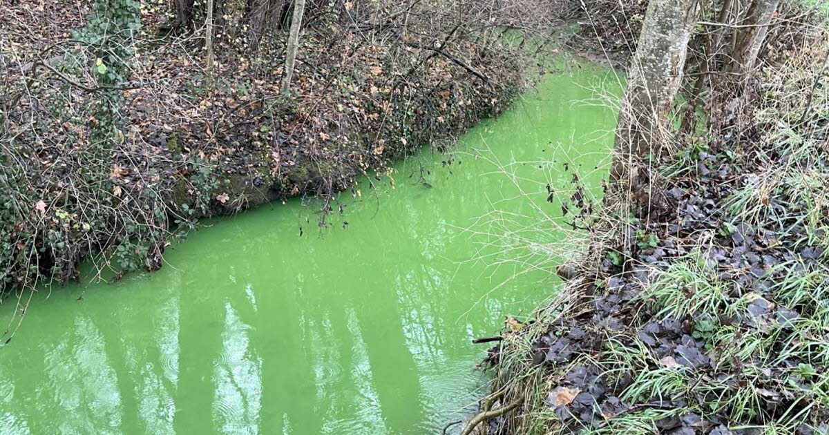 Meurthe-et-Moselle. Près de Nancy, le mystère du ruisseau vert en partie élucidé