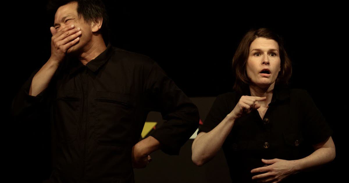 Grenoble. Un spectacle pour enfants en langue des signes au Théâtre Prémol