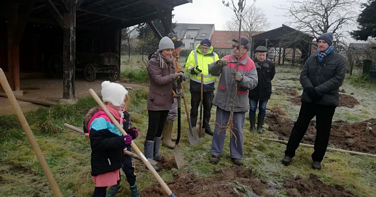 Reichstett. Une équipe soudée pour redonner vie à un verger