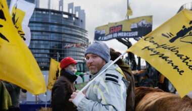 Strasbourg. Au Parlement européen, les eurodéputés votent des mesures pour encadrer l'accord UE-Mercosur