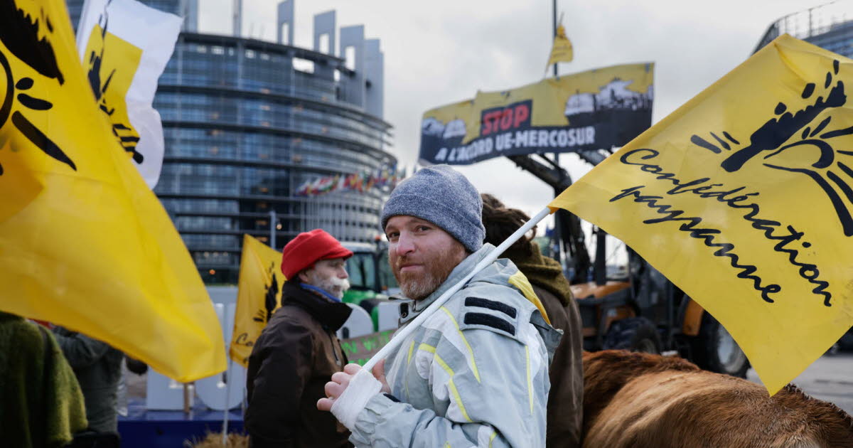 Strasbourg. Au Parlement européen, les eurodéputés votent des mesures pour encadrer l'accord UE-Mercosur