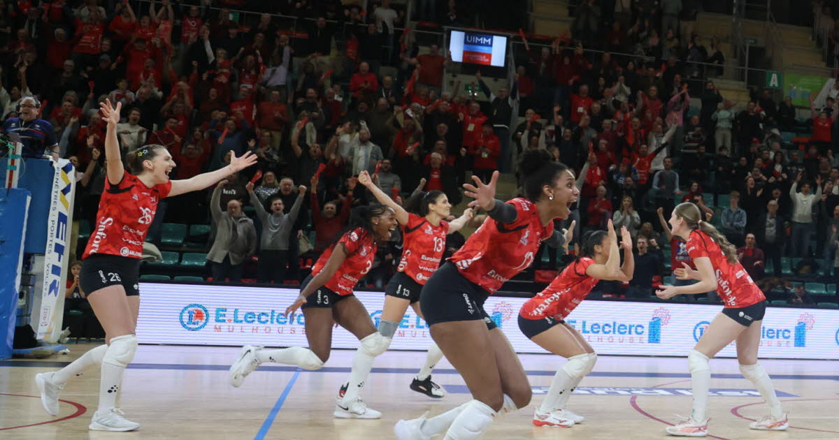 Coupe de France. Un Volley Mulhouse Alsace en tenue de gala bat Paris et file en demi-finale