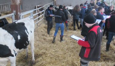 Malzéville. A Pix, des élèves en lice pour le Salon de l’agriculture
