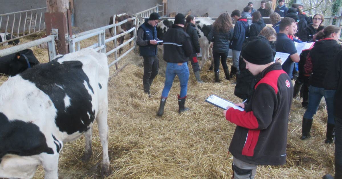 Malzéville. A Pix, des élèves en lice pour le Salon de l’agriculture