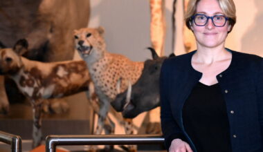 la nouvelle directrice Juliette Galpin veut en faire un lieu pour toutes et tous