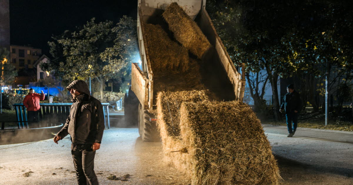 la FDSEA regrette que « des éléments extérieurs » aient coupé deux arbres à la tronçonneuse à Grenoble