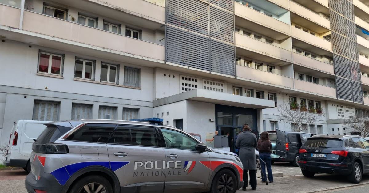 Rhône. Un enfant de 11 ans tué à l'arme blanche à Lyon : sa mère interpellée