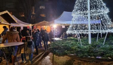 Firminy. C’est parti pour dix jours de féerie avec la Forêt magique