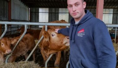 Meurthe-et-Moselle. À la suite de menaces, le président des JA 54 précise ses propos sur la dermatose nodulaire contagieuse