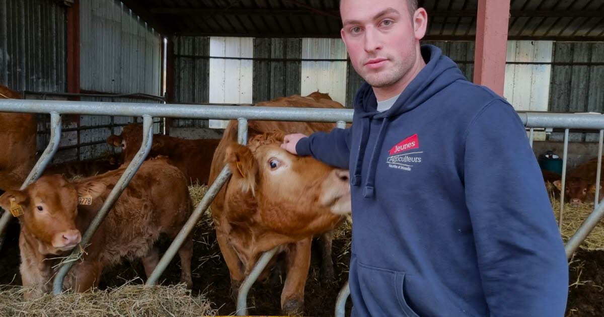 Meurthe-et-Moselle. À la suite de menaces, le président des JA 54 précise ses propos sur la dermatose nodulaire contagieuse