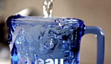 les écologistes se félicitent pour la régie publique de l’eau