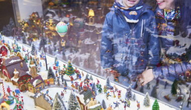 Lyon 8e. Les Grand Lyonnais « prennent une dose de Noël » devant cette vitrine