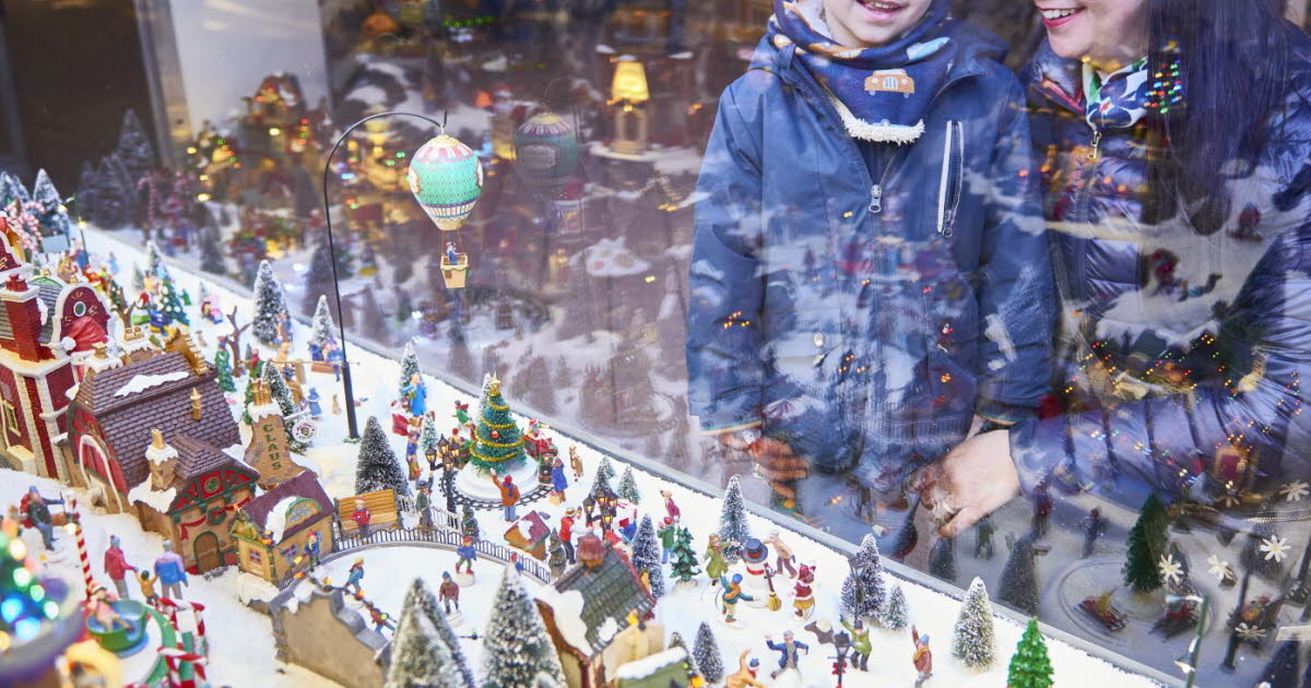 Lyon 8e. Les Grand Lyonnais « prennent une dose de Noël » devant cette vitrine